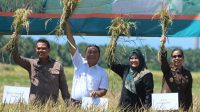 Pj Gubernur Banten Al Muktabar, Panen Padi Bersama di Pandeglang