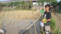 Pemuda Asal Lebak Berhasil Meraup Jutaan Rupiah Dari Budidaya Ikan Lele Pemuda Asal Lebak Berhasil Meraup Jutaan Rupiah Dari Budidaya Ikan Lele