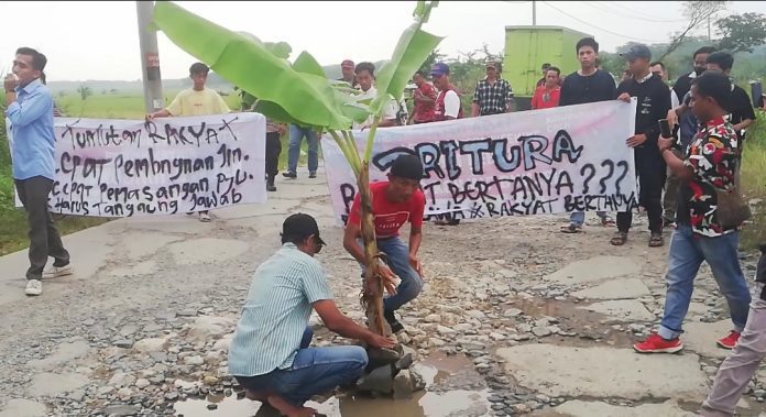 Jalan Rusak Parah KNPI Malingping dan Warga Aksi Tanam Pohon Pisang