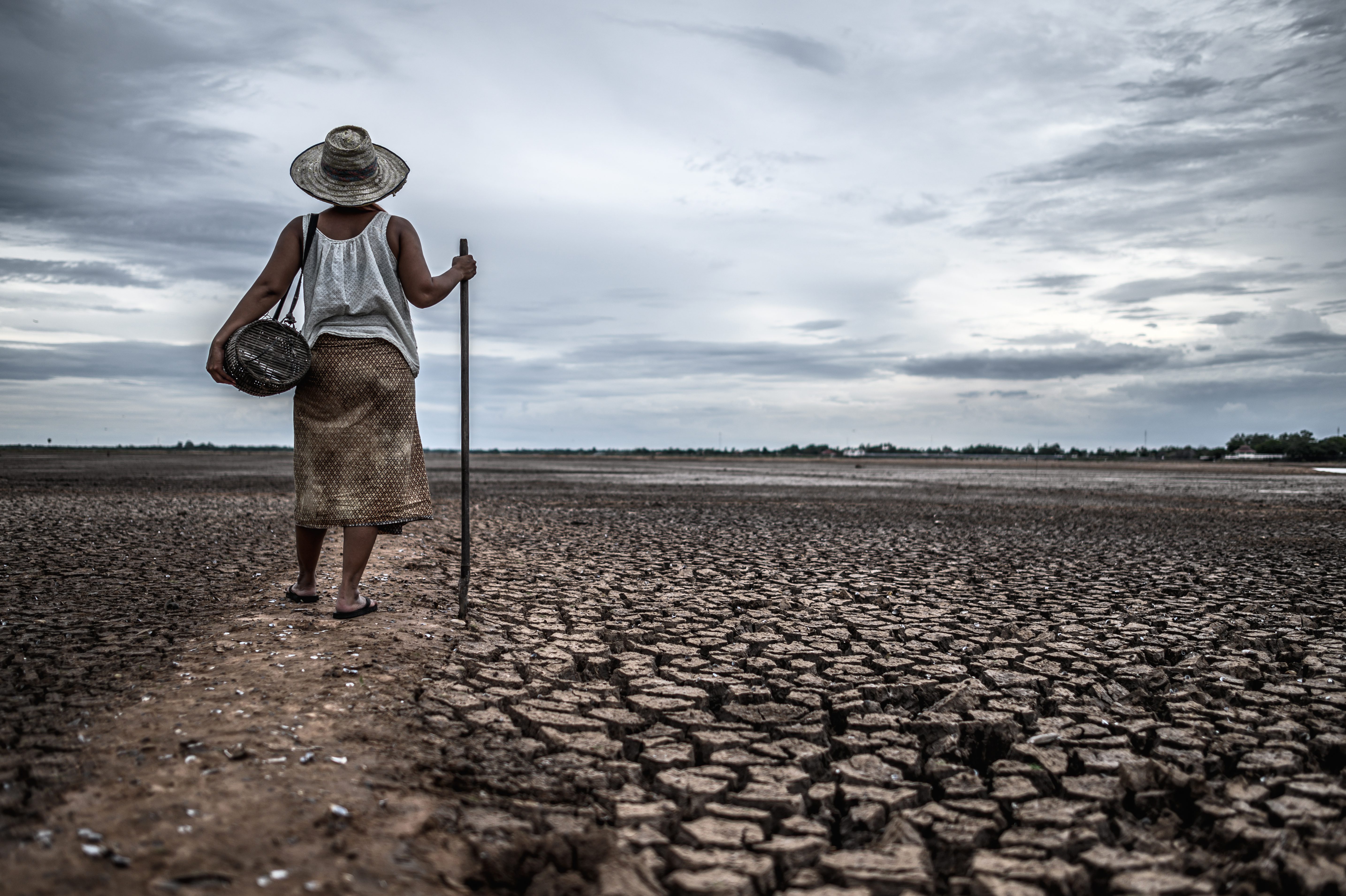 El Nino: Fenomena Alam yang Mengubah Cuaca Global