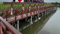 Taman Mangrove Ketapang : Instagramable Banget!