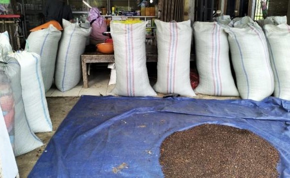 Harga Komoditas Cengkeh Kering di Kabupaten Lebak Capai Rp 120.000 per Kilogram