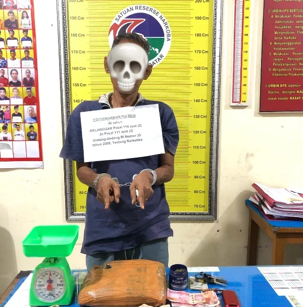 Satres Narkoba Polres Tanah Datar Ringkus Pengedar Ganja, 4 Paket Disita dari Rumah Pelaku