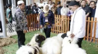 Nusatic Nusapet 2025 Resmi Dibuka, Tangerang Dorong Ekspor Ikan Hias