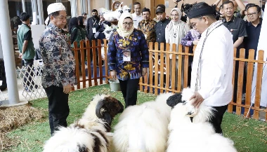 Nusatic Nusapet 2025 Resmi Dibuka, Tangerang Dorong Ekspor Ikan Hias
