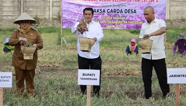 Panen Bawang Merah di Desa Sarakan, Pertanian Dorong Kesejahteraan Warga Tangerang