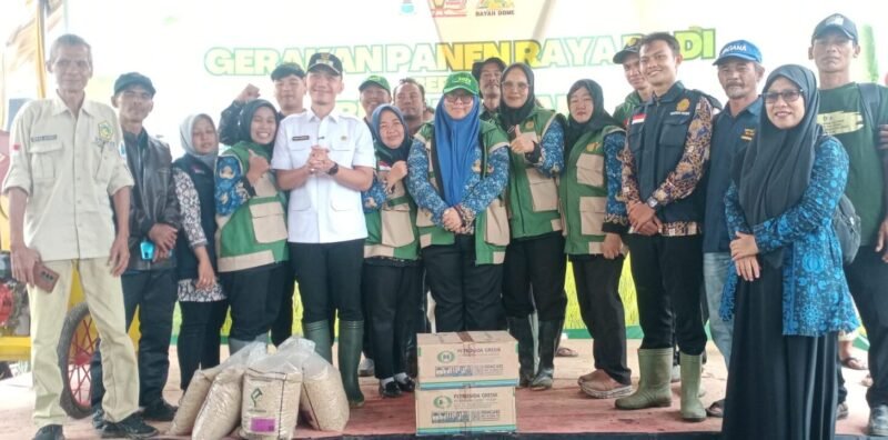 Pemkab Lebak Gelar Panen Raya Padi di Sukamanah, Dukung Swasembada Pangan Nasional