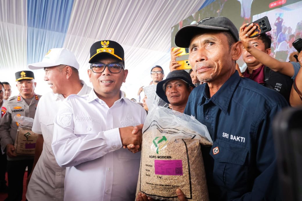 Pemprov Banten Catat Lonjakan Produksi Padi 16,84 Persen Sepanjang 2025