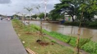 Pemprov Banten dan Gerakan Banten Teduh Tanam 5.000 Pohon di Tangerang