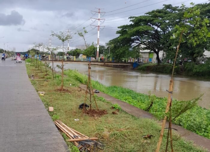 Pemprov Banten dan Gerakan Banten Teduh Tanam 5.000 Pohon di Tangerang