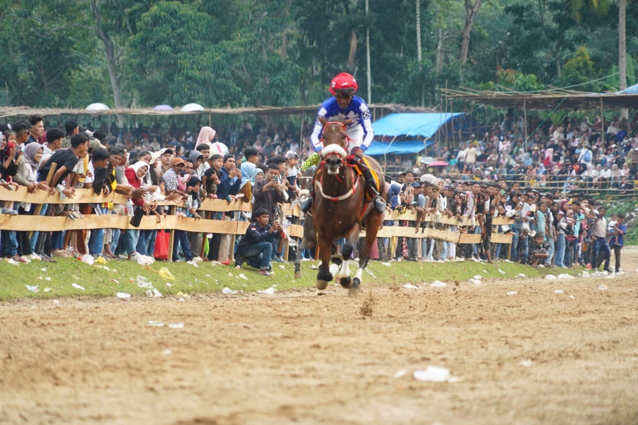 Bupati Eka Putra Buka Pacu Kuda Wirabraja Open Race 2026, 93 Kuda Siap Berlaga