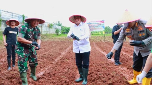 Bupati Tangerang Tanam Jagung Hibrida Serentak Bersama Forkopimda di Ranca Iyuh