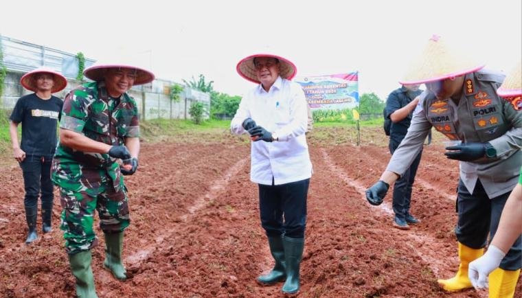 Bupati Tangerang Tanam Jagung Hibrida Serentak Bersama Forkopimda di Ranca Iyuh