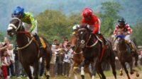 Kuda Queen Mentari Milik Bupati Tanah Datar Juara di Pacu Kuda Padang Pariaman 2026