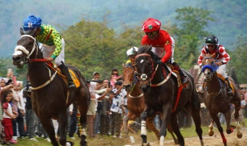Kuda Queen Mentari Milik Bupati Tanah Datar Juara di Pacu Kuda Padang Pariaman 2026