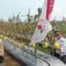 Bupati Lebak Hasbi Jayabaya, Panen Raya 30 Ton Golden Melon di Cileles