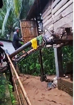 Banjir Kembali Terjang Desa Harum Sari Cipanas, Sawah di Sepanjang Aliran Sungai Ciberang Terendam