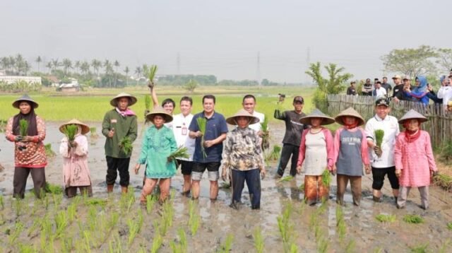 Bupati Tangerang Tegaskan Komitmen Perkuat Sektor Pertanian untuk Dukung Ketahanan Pangan