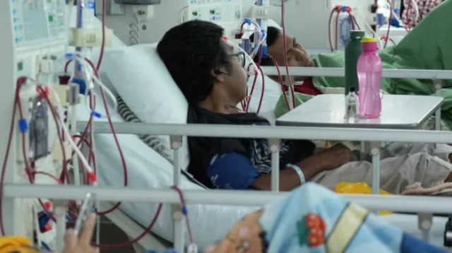 BPJS Kesehatan pastikan iuran JKN tidak mengalami kenaikan. Simak rincian tarif peserta mandiri terbaru, manfaat gotong royong JKN, dan imbauan waspada hoaks.