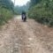 Jalan Penghubung Bojongmanik–Parakan Besi Rusak Parah