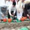Bupati Tangerang Letakkan Batu Pertama Perluasan Maqbaroh Al-Istiqlaliyyah, Perkuat Wisata Religi dan Ekonomi Warga