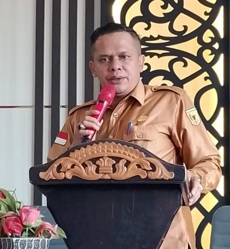 Nagari Simawang Susun RKP 2027 dan DU RKP 2028, Fokus pada Prioritas Pembangunan di Tengah Keterbatasan Anggaran