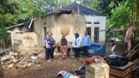 Pohon aren tumbang menimpa rumah warga di Desa Pajagan Kecamatan Sajira Kabupaten Lebak