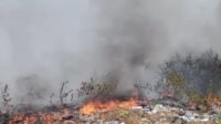 TPSA Dengung Lebak Terbakar, Api Diduga Dipicu Pembakaran Lahan TPSA Dengung Lebak Terbakar, Api Diduga Dipicu Pembakaran Lahan