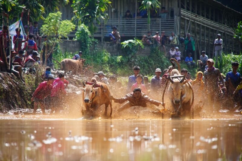 Pacu Jawi Tanah Datar Juara I Nasional AOE 2026, Ahmad Fadly: Promosi Harus Berujung Investasi