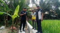 24 Titik Jaringan Irigasi P3A di Cikulur Resmi Jalani PHO, BBWSC3 Pastikan Kualitas Infrastruktur Pertanian 24 Titik Jaringan Irigasi P3A di Cikulur Resmi Jalani PHO, BBWSC3 Pastikan Kualitas Infrastruktur Pertanian
