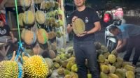 Durian Baduy Diburu Warga Rangkasbitung Saat Musim Tiba Durian Baduy Diburu Warga Rangkasbitung Saat Musim Tiba