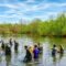 Danramil Malingping Pimpin Penanaman Mangrove di Danau Talanca