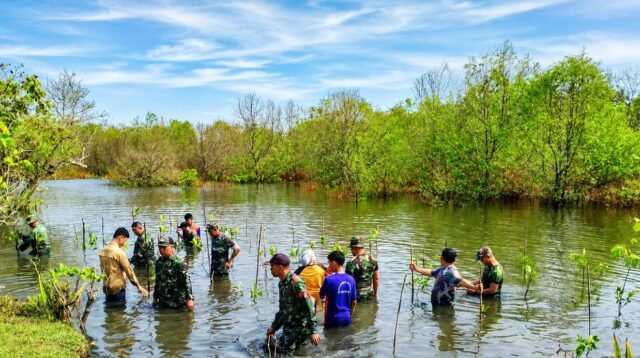 Danramil Malingping Pimpin Penanaman Mangrove di Danau Talanca