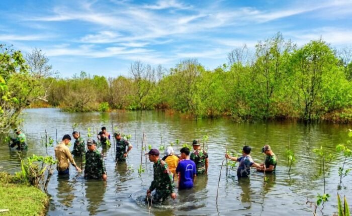 Danramil Malingping Pimpin Penanaman Mangrove di Danau Talanca